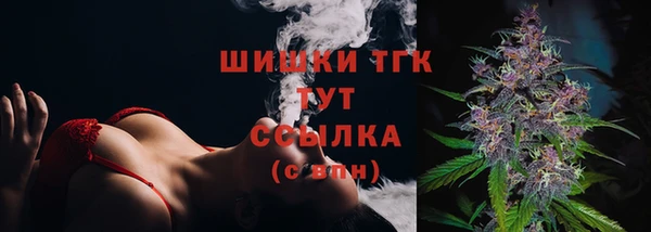 мдпв Дмитров