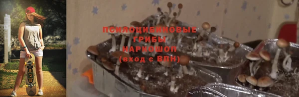 МДМА Дмитровск