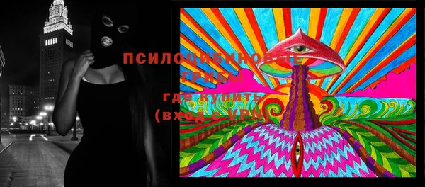 мдпв Дмитров