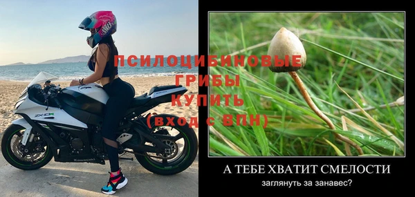 мдпв Дмитров