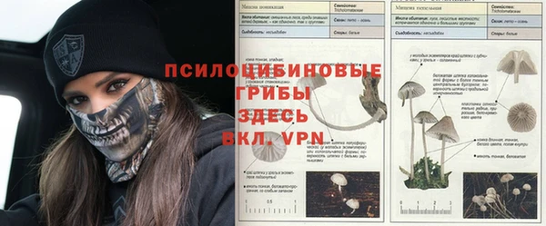 мдпв Дмитров