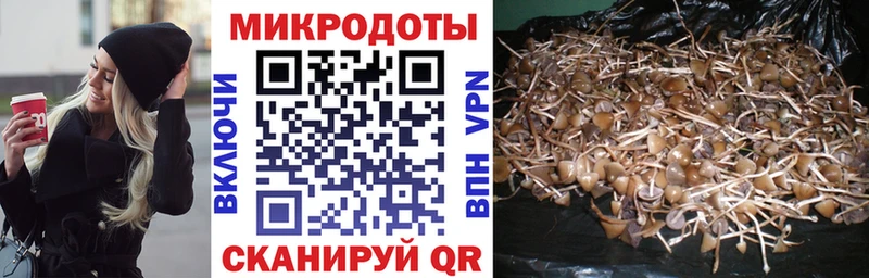 Псилоцибиновые грибы MAGIC MUSHROOMS Заводоуковск